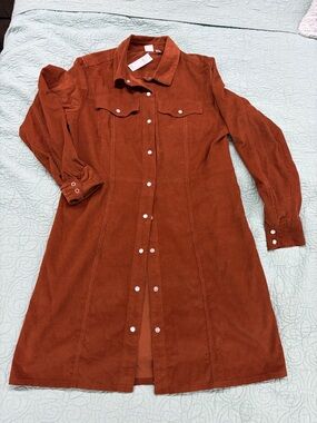 GAP Rust Brown Corduroy Button-Front Shirt